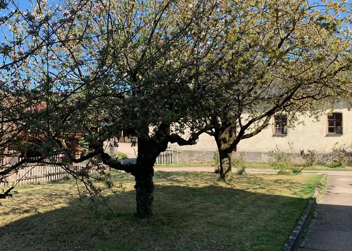 Im Villengarten *